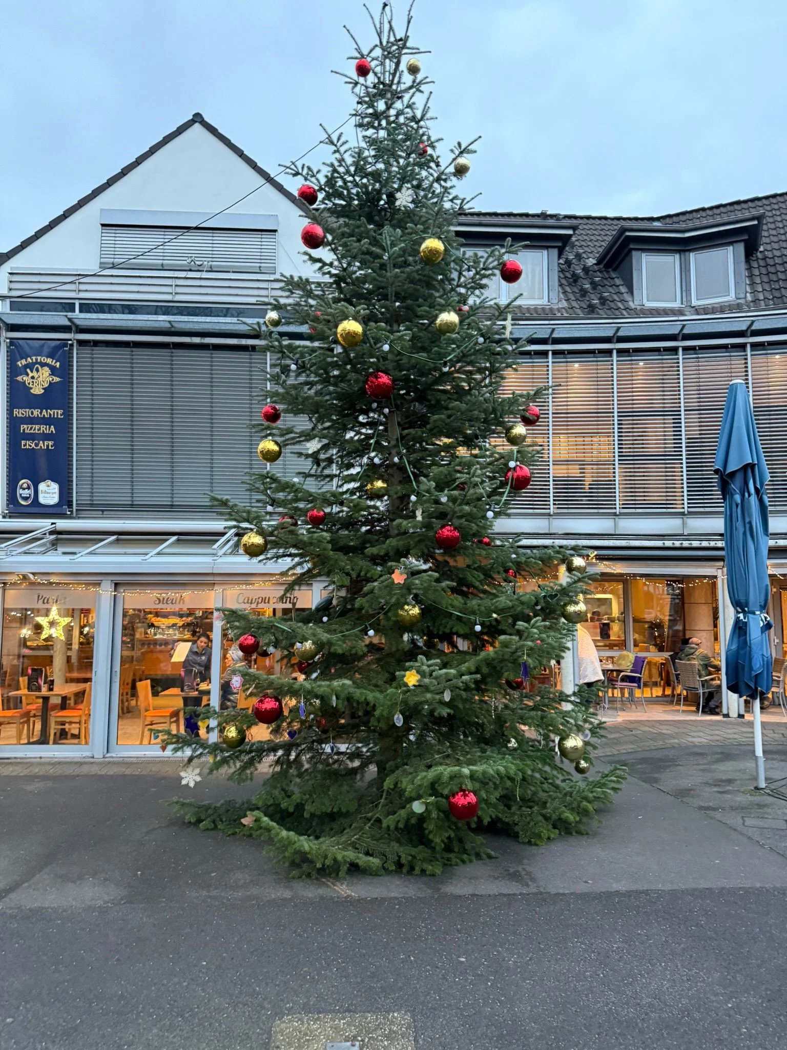 Weihnachtsbaumstellen 2025 — Impression 1