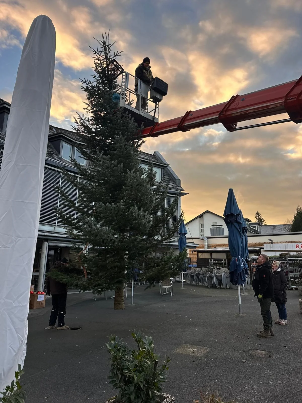 Weihnachtsbaumstellen 2025 — Impression 2